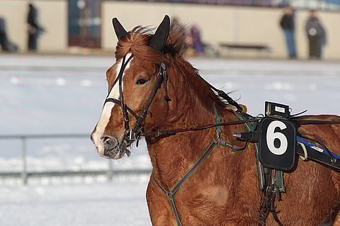 Siporin Santtu saa tänään ohjiinsa Santtu Raitalan, jolla on kaimansa kyydissä vaativa tehtävä. Kaikkissa edellisissä Teivon starteissa (yhteensä 3) hevos-Santtu on hylätty laukoista.