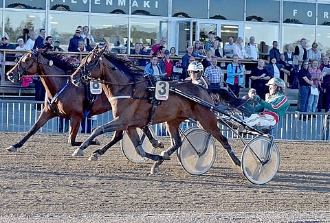 Hyvässä kunnossa oleva Global Spellbound pystyy tänään voittoon.