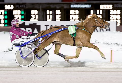 Ari Hartikaisen valmentama Intoiivari voitti Jokimaalla Emma Väreen ohjastamana.