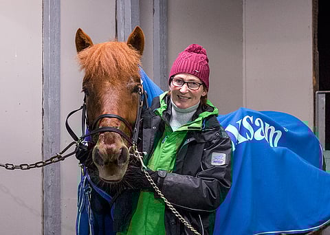 Ruutu-Jokan tuhkimopaluu