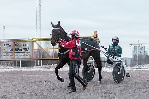 I'm Just A Sund löysi itselleen uuden kodin.