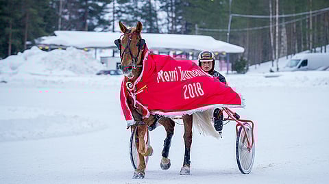 Ellin Sisu tähdittää Joensuun Euronelkkua.