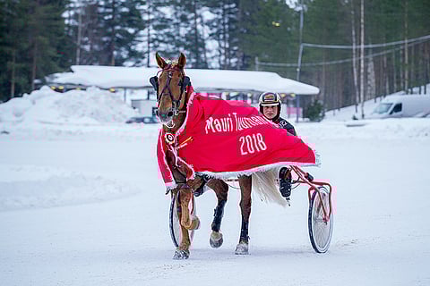 Ellin Sisu juoksi tiistaina ensimmäisen voittonsa sitten joulukuun 2021.