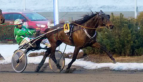 Markku Niemisen valmentama Bret Boko jatkoi siitä, mihin Teivossa viime viikolla jäi.