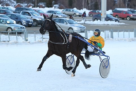 Arto Komulainen E.V. Jory on Magic Mondayn ideavarma.