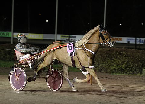 Juiseri pystyy nitistämään Larvan Hurmoksen ja kumppanit.