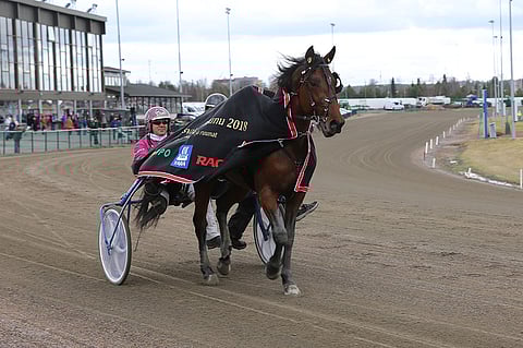 Le Gros Bill on illan T5-pelin suursuosikki Seinäjoella.