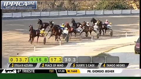 Kuvassa Peace of Mind viimeksi voittamassaan Gran Premio Giorio Jegher-kilpailussa. Kuva IppicaBizin YouTube-arkistosta.