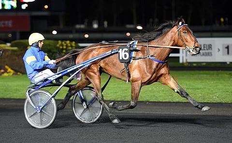 Uza Josselyn on tulossa Finlandia-ajoon. Arkistokuva.