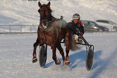 Olavi Nisosen valmentama Pauhis kohoaa ideasysteemin varmaksi, sillä tauolta palaavalla Välähdyksellä on ruutia tynnyrissä eikä kaikki purkaudu välttämättä oikealla tavalla.