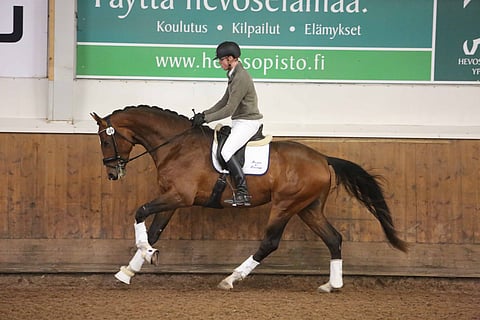 Alexander Werner ratsasti New Hill Dannemanin.