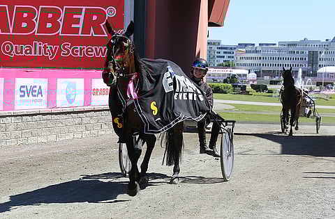 Heidi Vuori toi Boadicean (Lexus Font) pois seremonioista Solvallassa Elitloppet-perjantaina.