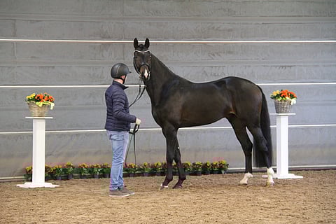 Kaunis mutta huono-onninen