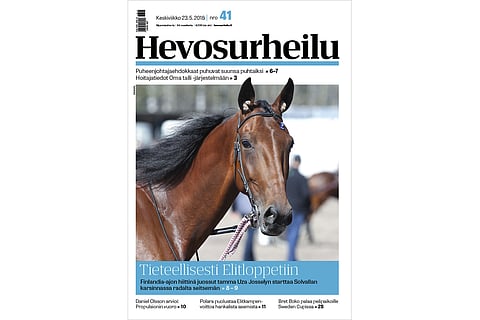 Tamma Uza Josselyn oli Hevosurheilun kansikuvatamma 23.5. ennen Elitloppetia. (Kuva:HU arkisto)