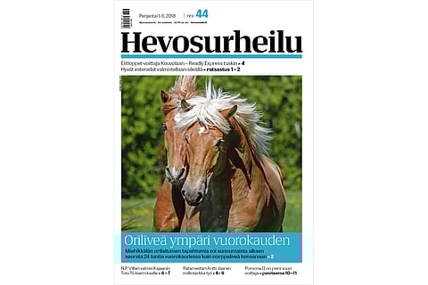 Oriit livenä. Kuva: Juhani Länsiluoto.