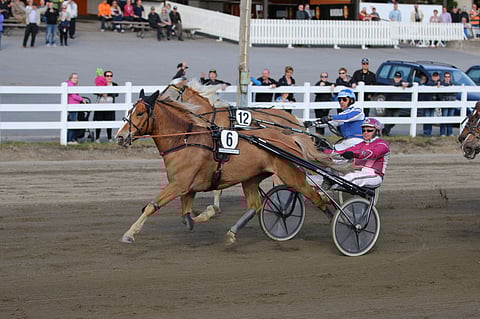 Juliette Lax piti Veluurin varmasti ulkopuolellaan Toto65-avauksessa.