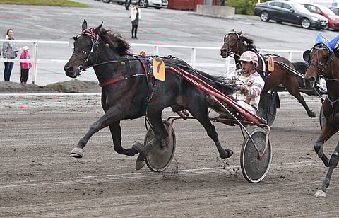 Lolo Lee kilpailee jatkossa Tapio-Mäki tulokkaan tallista käsin.