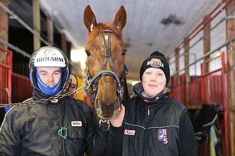 Taneli Säde kuvassa Jonna Irrin kanssa. Välissä tallin Majestic Man.