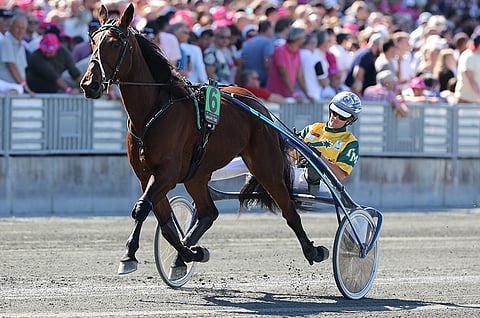 Australian Maori Time laukkasi ensimmäisessä, paljon dramatiikkaa sisältäneessä Elitloppet-karsinnassa.