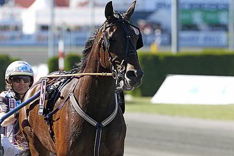 Nadal Broline tuli Björn Goopin valmennuksesta hurjassa kunnossa takaisin. Kuva: Jarno Unkuri