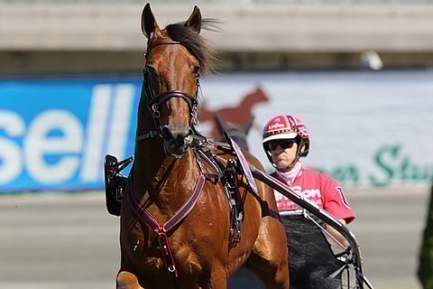 Vauhdistaan tunnettu Pastore Bob osallistuu Seinäjoki Raceen. Kuva: Jarno Unkuri.