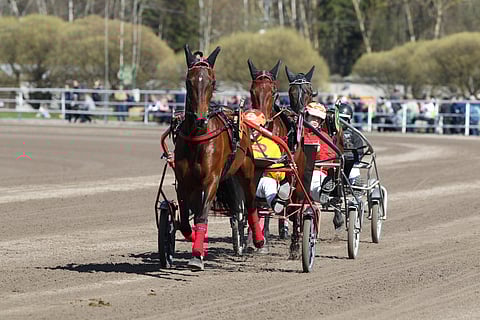 Alessandro Gocciadoron valmennustallin joukkue etenee kuin juna pohjoismaisista suurkilpailuista toiseen. Kuva Totofoto