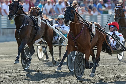 Pitkien matkojen spesialisti Platon Face piti Call Me Keeperin takanaan Harper Hanovers loppissa. Kuva: Jarno Unkuri.