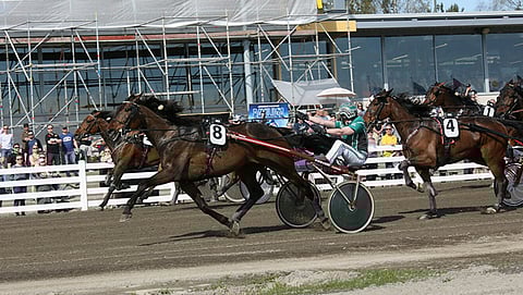 Monipuolinen Remote Control menestyy paitsi montéssa myös kärrylähdöissä, kuten toissa vuonna Oulussa Niko Jokelan ohjastamana.