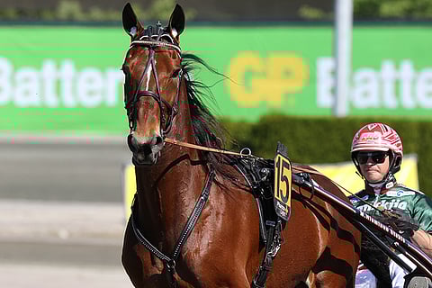 Robin Roof on helppo valinta Jokimaan T5-kierroksen ensimmäiseksi tukipilariksi.