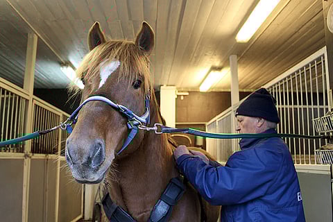Sheikki ja valmentaja Matti Lautamäki.