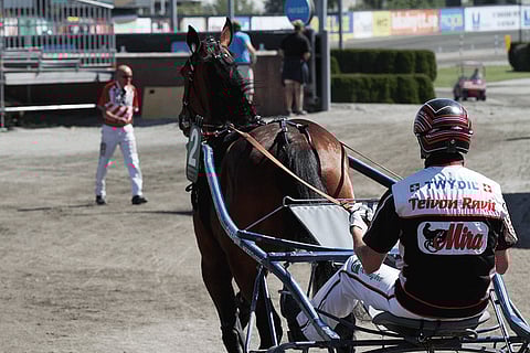 Staro Miamille ja Mika Forssille Solvalla on tuttu paikka. Kuva: Jarno Unkuri