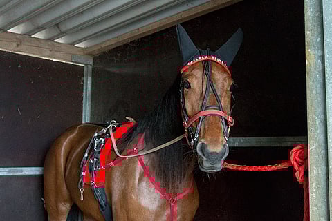 Callela Eliza odottelemassa lähtöä avauskohteen jälkeen tapahtuvaan lämmitykseen.