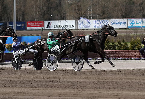 Nelivuotiaiden Glenn Kosmos Memorial oli vauhdikas kilpailu. Markku Niemisen valmentama ja Ari Moilasen ajama Lexus Dream ohitti vauhtia pitäneen Rubion maalisuoralla ja komisteli ennätyksensä 11,5:een. Tulos oli lopulta vain puoli sekuntia päälähdön voittoaikaa hitaampi. Kuva: Roosa Lindholm.