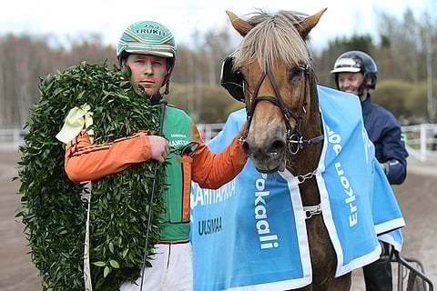 Ruunaruhtinaaksi on vahvimmin ehdolla Antti Tupamäen valmentama Polara.