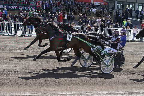 Star Martini on keulasta hankala ohitettava ja toimii toisen Suurmestaruuskarsinnan varmana hyvältä lähtöpaikalta.