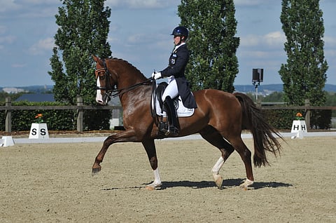 Dalou Shan ja Terhi Stegars.