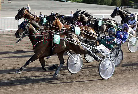 Hamis Fameraiser piti muut kurissa keulasta.