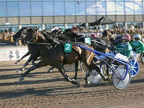 Ulk Delle Selve lopetti terävästi voittoon Vermossa.