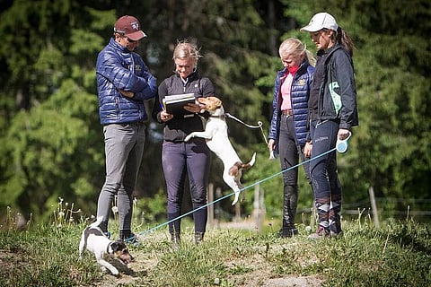 Aki Karhapää ja Tuija Rosenqvist tutustuttavat ratsastuskoululaisia maastoesteisiin.