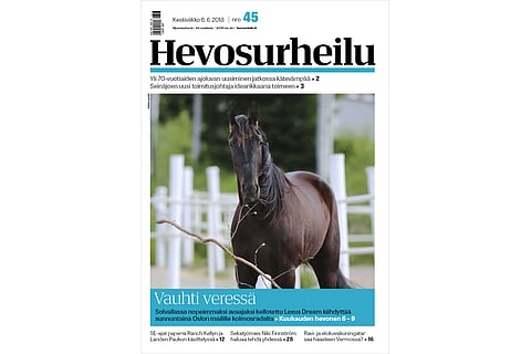 Lexus Dream kotitarhassaan Markku Niemisellä Urjalassa. Kuva: Hanna Laakso.