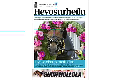 Costello on Nordic King. Kuva: Ada Pykäläniemi.