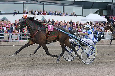 Spitcam Jubb nähdään Kouvolan Kymi GP:ssä yhdessä muiden huippuravureiden kanssa.