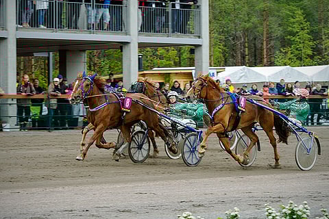 Huimariina palasi Härmässä tulleen voiton myötä tammojen kunkkarirankingin kärkeen.