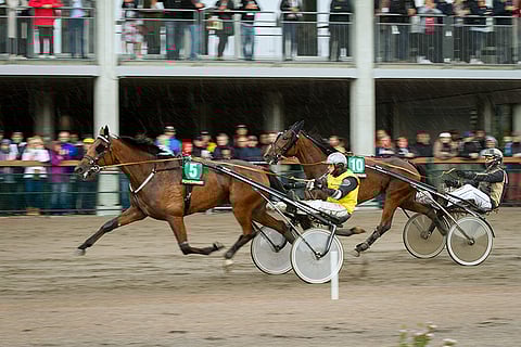 Niki Finnströmin ajama Stonecapes Queila on mainio varma illan Toto64-kierrokselle.
