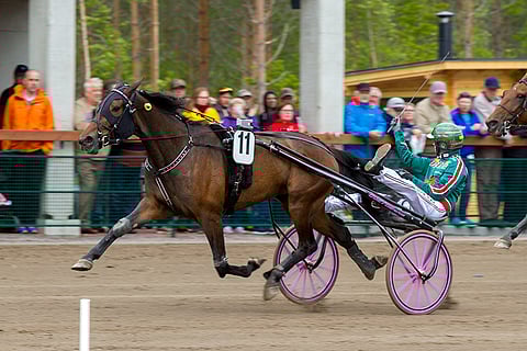 Golda Parisin statistiikaksi 89 startista tuli 10-11-13. Voittosummaa kertyi 107 728 euroa, ja ennätykseksi tuli hieno 10,5.