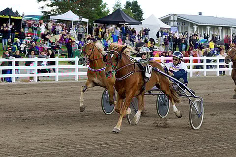 Jussi Miettisen ohjastama Tulinko aloitti Toto76-rivin Lahden Jokimaalla.
