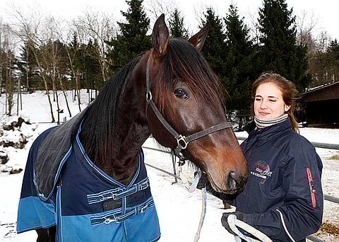 Ideasysteemin varma Yank Match Hevosurheilun 3-vuotisliitteeseen kuvattuna.