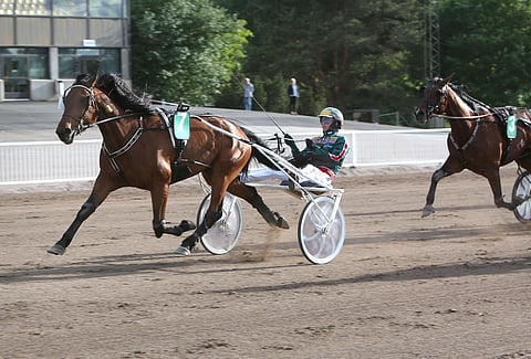 Golden Eleven viihtyy Killerin radalla.