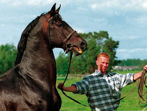 Jukka Kallunki ja ori Rothschild J Luvialla vuonna 1997.