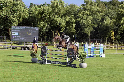 Ornellaialle ei tarvitse opettaa mitään, mutta sen on totuttava Anna-Julia Kontion apuihin.